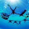 宮古島ダイビングショップビッグホリデーは水中カメラがいつでも無料